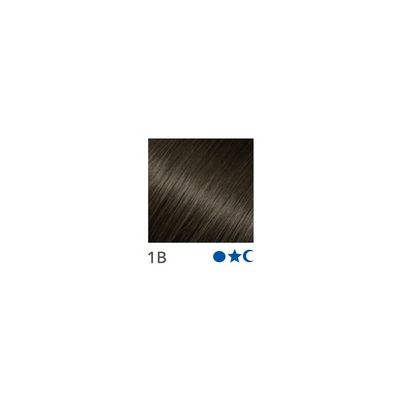 Platinum 20-22in. Extensions #1B - Straight 10pcs available in Trinidad and Tobago.