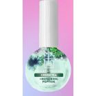 BCL Green Tea (Repair) Nail & Cuticle Oil 1oz