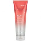 Joico YouthLock Conditioner 250ml