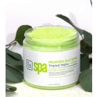 BCL Mojito & CBD Soak 16oz