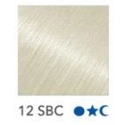 Platinum 20-22in. Extensions #12SBC-Straight 10pcs